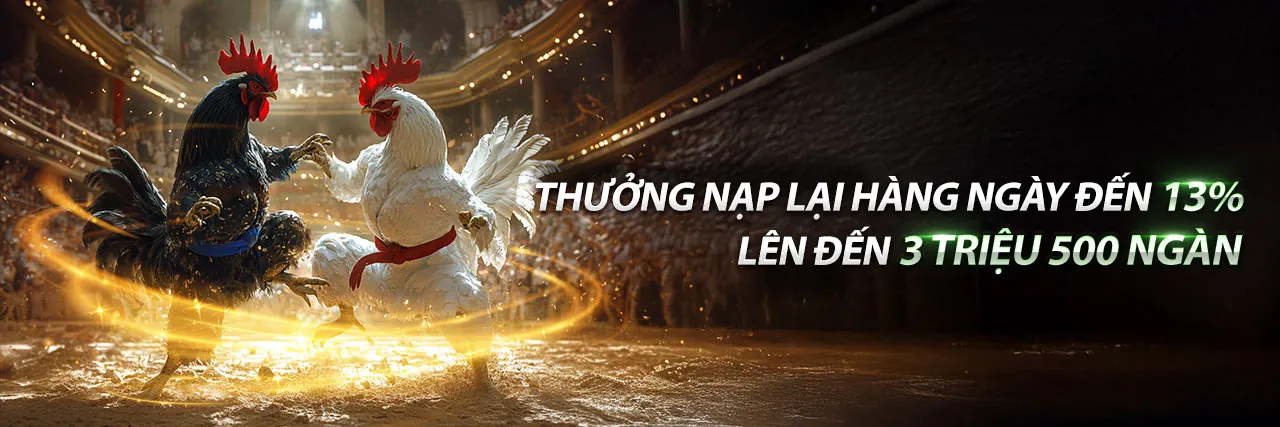 Hình ảnh chiến kê hùng dũng trên sàn đấu đá gà